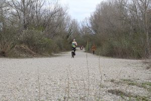 IMG_8754