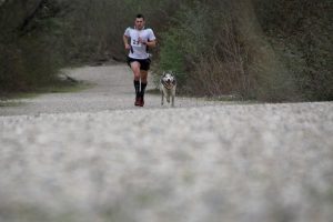 IMG_8781