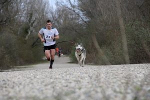 IMG_8784