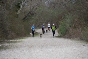 IMG_8834