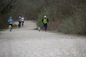 IMG_8835