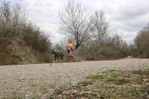 IMG_8853
