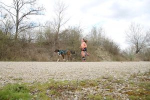 IMG_8854