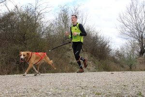 IMG_8861