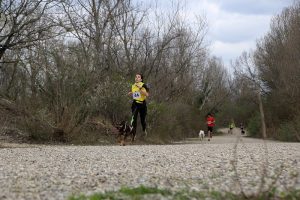IMG_8870