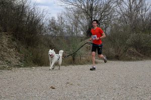 IMG_8874