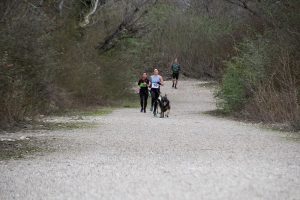 IMG_8875