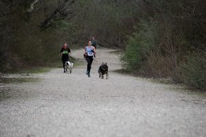 IMG_8877