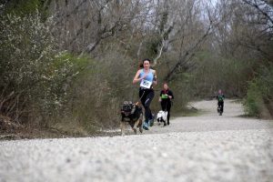 IMG_8882