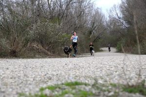 IMG_8883