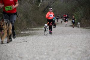 IMG_8895
