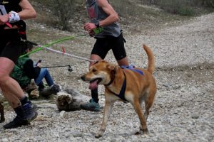 IMG_8908