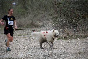 IMG_8927