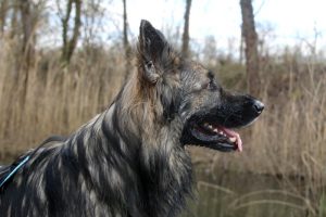 IMG_8938