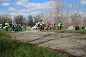 IMG_8952