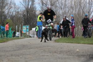 IMG_8958