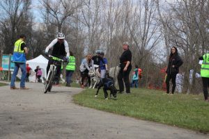 IMG_8964