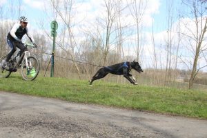 IMG_8966