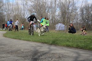 IMG_8971