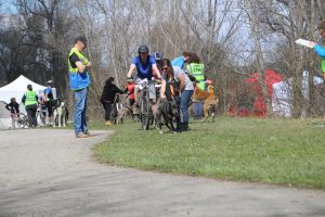 IMG_8978