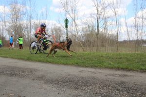 IMG_8989