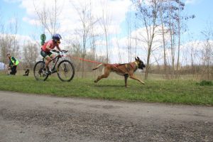 IMG_8990