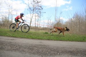 IMG_8991