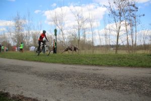 IMG_8997