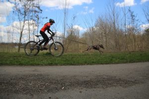 IMG_8999