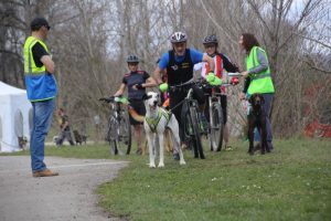 IMG_9002