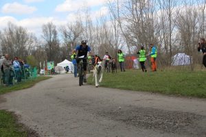 IMG_9005