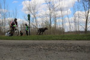 IMG_9011