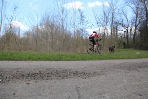 IMG_9013