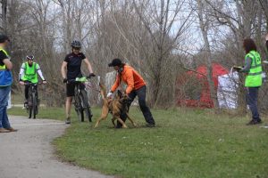 IMG_9014