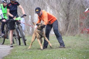 IMG_9016