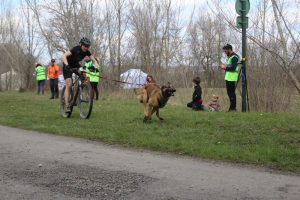 IMG_9023