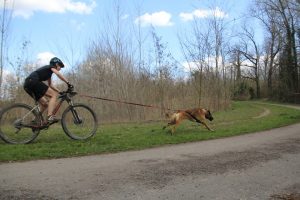 IMG_9026