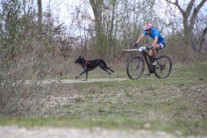 IMG_9029