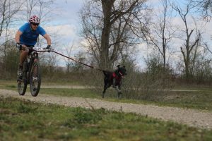 IMG_9034