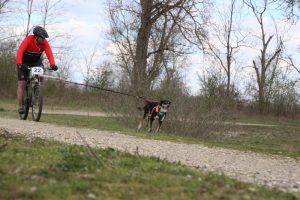 IMG_9040