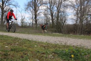 IMG_9041