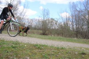 IMG_9052