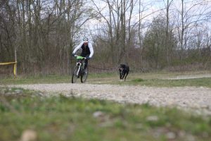 IMG_9054
