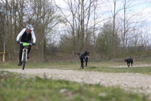 IMG_9055