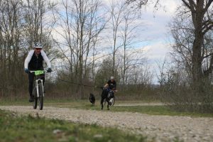 IMG_9056
