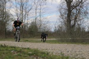 IMG_9060