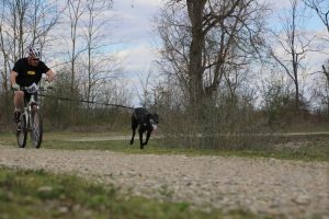 IMG_9061