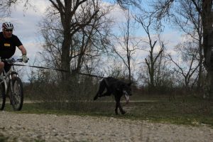 IMG_9062