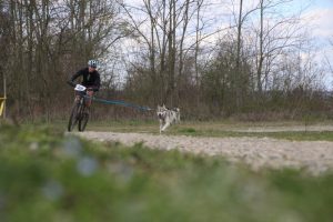 IMG_9064
