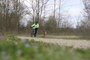 IMG_9068